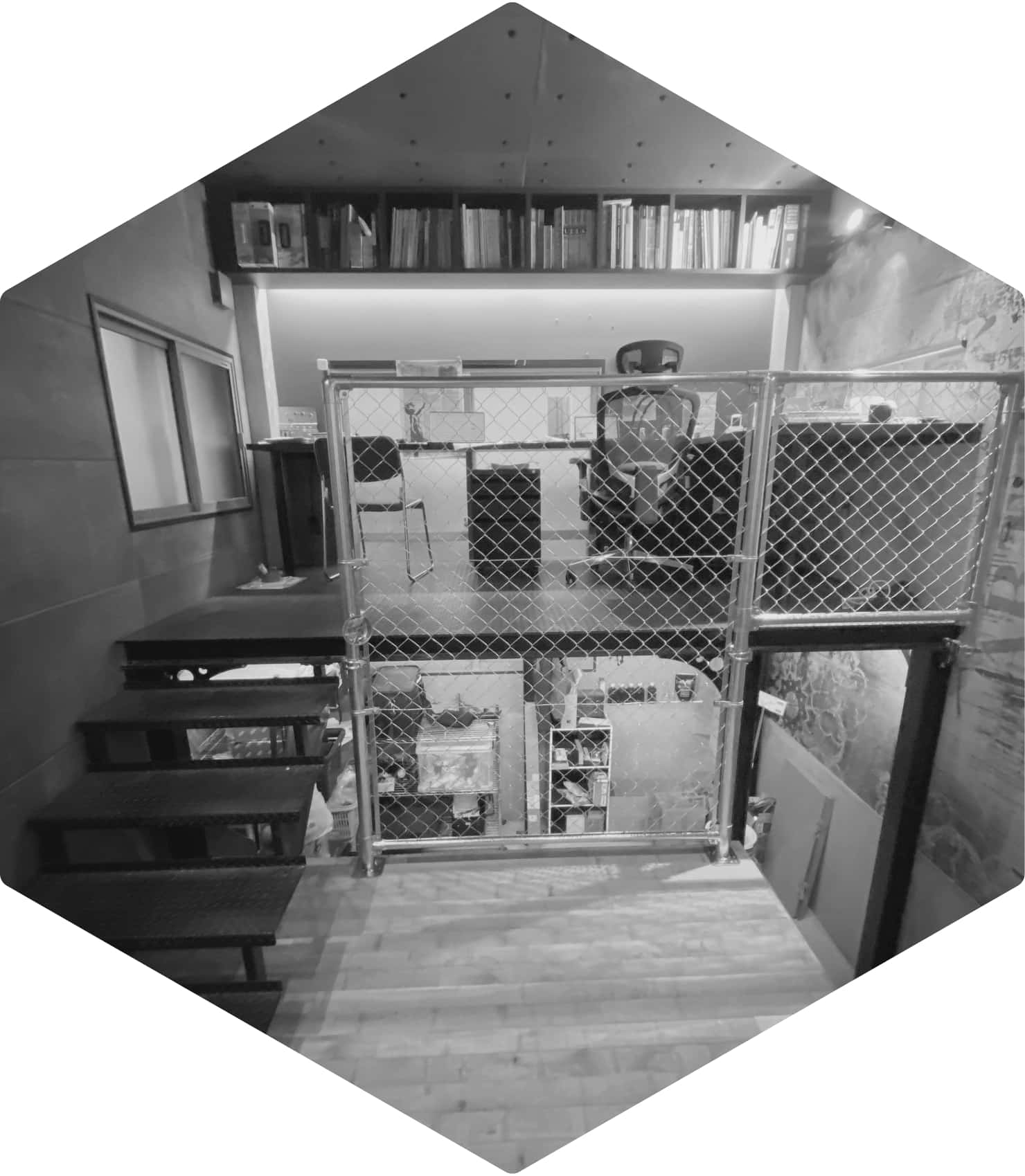 Company info 会社概要